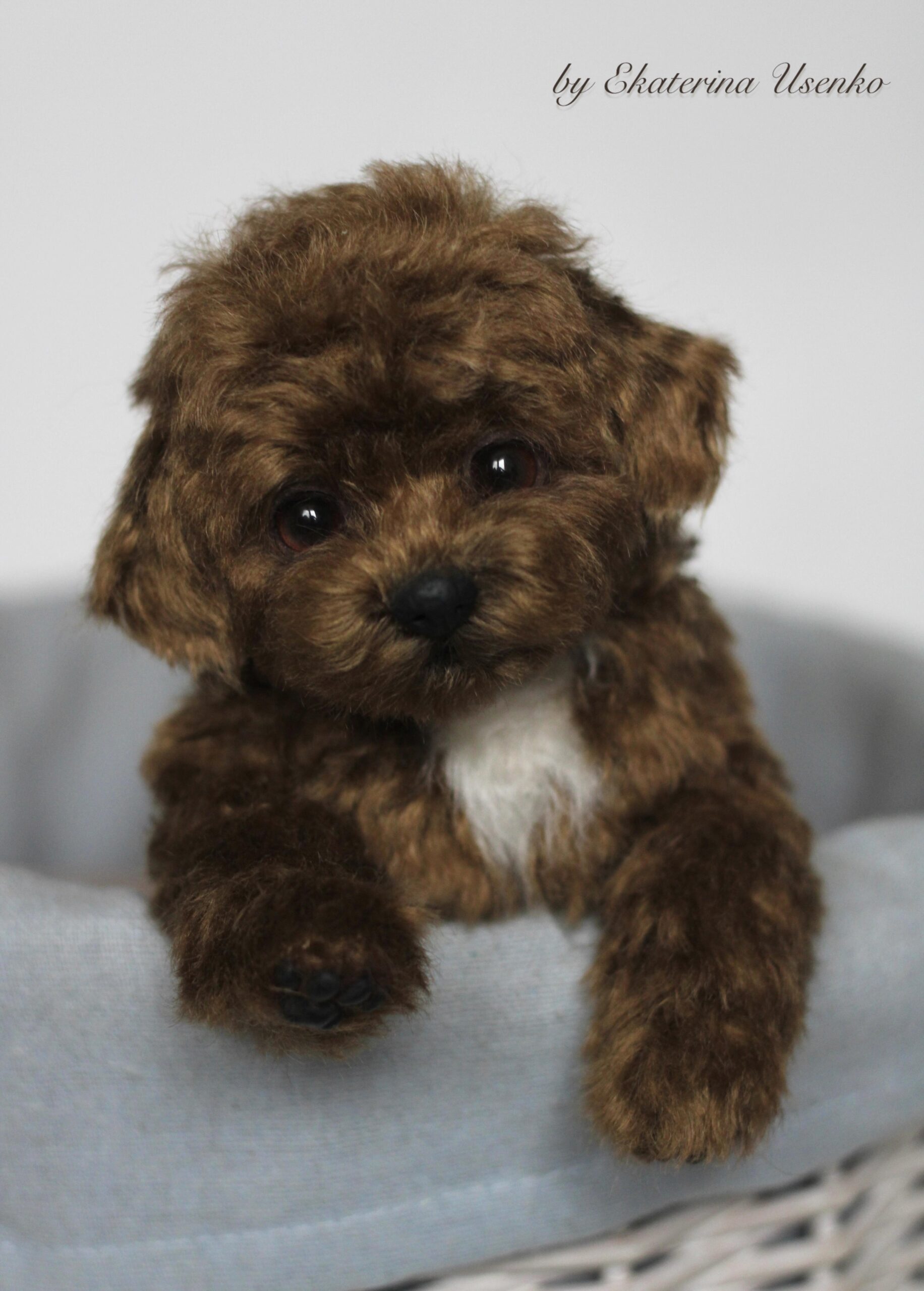 微信图片_20251215145506_9_3